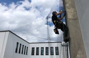 Industrie Kletterer Hamburg: Herausforderungen und Lösungen beim Taubenbefall auf Wohngebäuden