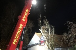 Feuerwehr Bochum: FW-BO: Baum stürzt gegen Wohnhaus - Feuerwehrkran im Einsatz