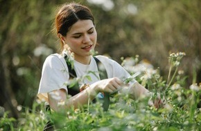 Provinzial Holding AG: Provinzial gibt Tipps zum Frühlingsbeginn