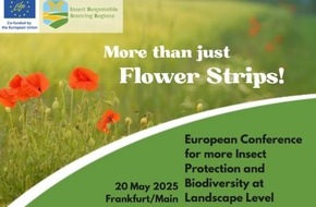 Global Nature Fund: Europäische Konferenz zum Schutz von Insekten und biologischer Vielfalt