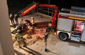 Freiwillige Feuerwehr Menden: FW Menden: Feuerwehr unterst&uuml;tzt bei Rettung eines gest&uuml;rzten Pferdes