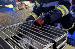Feuerwehr Neuss: FW-NE: Wohnung im 3. OG in Vollbrand | Zwei Personen & zwei Katzen durch Feuerwehr gerettet
