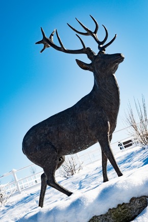 Die Hollerhöfe - Jahresausklang und Silvester im eigenen Dorf