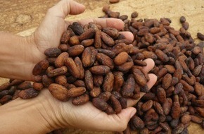 ForestFinance: ForestFinance-Kakao erhält Bronzemedaille