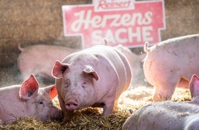 The Family Butchers Germany GmbH: Neue Wege in der Nutztierhaltung / The Family Butchers stellt weiterentwickeltes Konzept der Marke Reinert HerzensSACHE vor