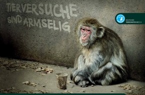 Deutscher Tierschutzbund e.V.: Neue Beweise: Forschungseinrichtungen in Deutschland an brutalem Fang und Handel von Affen für Tierversuche beteiligt