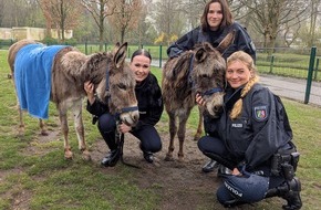 Polizei Bochum: POL-BO: Pilotprojekt: Eselstaffel der Polizei Bochum geht an den Start