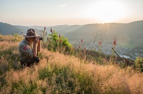 Schmallenberger Sauerland Tourismus: Große Auswahl an (Urlaubs-)Erlebnissen