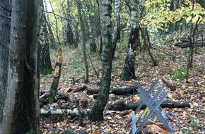 Polizeiinspektion Osnabrück: POL-OS: Bad Iburg: Unbekannte fällen verbotenerweise Bäume - Zeugen gesucht