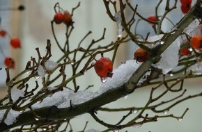 Otto-Friedrich-Universität Bamberg: PM: Weihnachtsschließung der Universität Bamberg