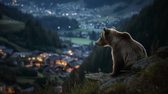 beetz brothers film production: Neue High-End-Doku „GEFÄHRLICH NAH – Wenn Bären töten" feiert Weltpremiere auf dem DOK.fest