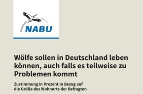 NABU: Forsa-Umfrage zum Wolf: Zustimmung in der Bevölkerung bleibt hoch / Miller: Klima für die Akzeptanz des Wolfes ist nach wie vor gut