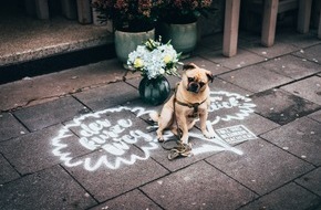 Blumenbüro: Street-Art-Aktion als bunter Hinweis zum floralen Glück / Der kurze Weg zum Glück sorgt für Farbe in deutschen Großstädten
