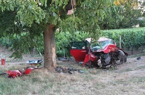 Polizeidirektion Neustadt/Weinstraße: POL-PDNW: PI Grünstadt - Tödlicher Verkehrsunfall