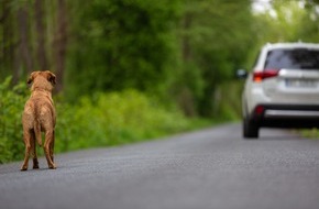 Landeskriminalamt Rheinland-Pfalz: LKA-RP: Kein Aussetzen von Haustieren während der Sommerferien