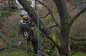 Industrie Kletterer Hamburg: Umweltschonende Baumarbeiten mit Seilklettertechnik