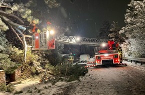Feuerwehr Stuttgart: FW Stuttgart: Schwerer Neuschnee führt zu umgestürzten Bäumen
