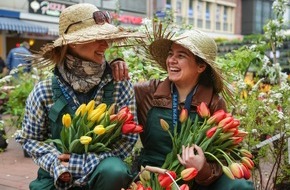 Tourismus-Agentur Schleswig-Holstein GmbH: Immer wieder kommt ein neuer Frühling - Bunte Frühlingsfeste und -märkte in Schleswig-Holstein