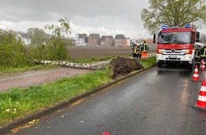 Freiwillige Feuerwehr Werne: FW-WRN: TH_1 - Baum über Fahrradweg, ca. 5-10m