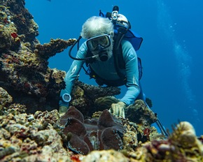 Das The Ritz-Carlton Maldives, Fari Islands engagiert sich für den Schutz der Meere und ihrer Bewohner