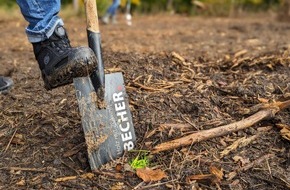 Becher GmbH & Co. KG: Über 1000 neue Bäume für Selters