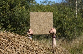 Deutsche Bundesstiftung Umwelt (DBU): DBU: Moorschutz und Dachbegrünung für besseres Stadtklima