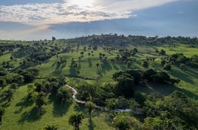 DEKRA SE: DEKRA verstärkt Engagement für Klimaverantwortung