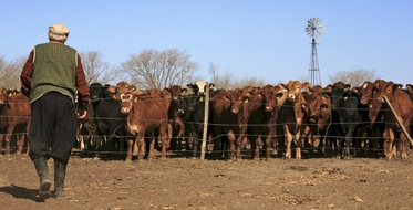 Schweizer Tierschutz STS: Schweiz-Mercosur: Das «Billigfleisch-Abkommen»