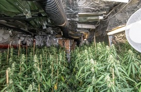 Polizeipräsidium Krefeld: POL-KR: Gemeinsame Pressemitteilung der Staatsanwaltschaft und der Polizei Krefeld: Ermittlungserfolg des Rauschgiftkommissariats - EG Herkules deckt Cannabis-Plantage auf