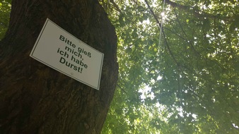 Bund deutscher Baumschulen (BdB) e.V.: Hitze setzt auch Bäumen zu