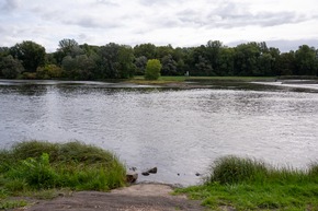 Rhinaissance: Ein europäisches Projekt für die Wiederbelebung des Rheins^