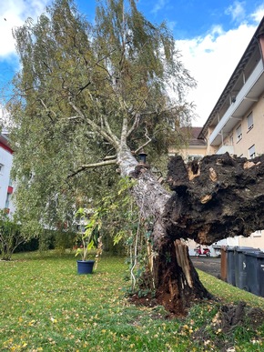 FW Konstanz: Unwetterlage fordert die Feuerwehr