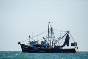 Kulinarisches Fort Myers: Genuss am Wasser mit Seafood &amp; Tropenfrüchten