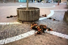 Polizeidirektion Pirmasens: POL-PDPS: Blumen in der Fußgängerzone aus den Kübeln gerissen