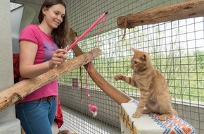 Deutscher Tierschutzbund e.V.: PM - Bewerbungsphase für Jugendtierschutzpreis gestartet