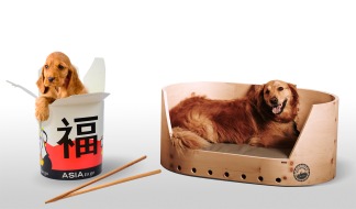 4betterdays.com: China ist der weltweit größte Pelzexporteur. Was viele Tierfreunde nicht wissen: Aus Hunden werden Pelztiere - BILD