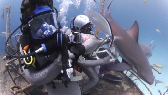 ProSieben: Hai-Attacke auf Klaas Heufer-Umlauf!