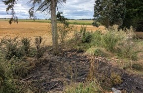 Feuerwehr Ense: FW Ense: gemeldeter Flächenbrand in Sieveringen / schnelles Eingreifen der Feuerwehr verhindert Schlimmeres