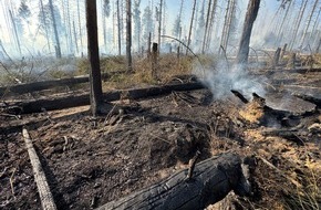 Feuerwehren im Kreis Soest: FW Kreis Soest: Erste Folgemeldung Waldbrand Möhnesee