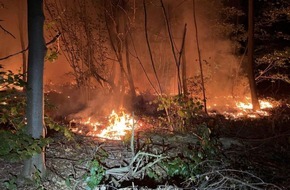 Polizeiinspektion Landstuhl: POL-PILAN: Brand im Wald