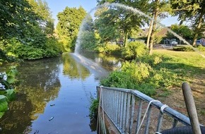 Freiwillige Feuerwehr Hünxe: FW Hünxe: Feuerwehr rettet Fische im Hünxer Regenrückhaltebecken