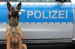 Polizei Hamburg: POL-HH: 170912-2. Diensthund "Orry" spürt mutmaßlichen Einbrecher auf - eine Festnahme nach Einbruch in Hamburg-Hamm