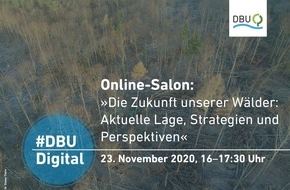 Deutsche Bundesstiftung Umwelt (DBU): DBU-Online-Salon zur Zukunft des Waldes