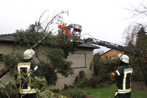 FW-WRN: TH_1_B: Baum auf Dach gestürzt