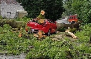 Feuerwehr Haan: FW-HAAN: Baum stürzt auf Pkw