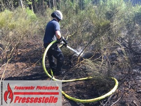 FW-PL: 2500 Quadratmeter Waldbrand. Leiche bei Löscharbeiten entdeckt. Paralleleinsatz durch Brandmeldeanlage.