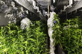 Kreispolizeibeh&ouml;rde Unna: POL-UN: Bergkamen - Polizei entdeckt Cannabisplantage in Lagerhalle