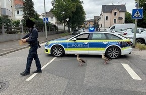 Polizeidirektion Bad Kreuznach: POL-PDKH: "Im Gänseschritt, Marsch!"