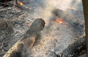 Feuerwehr Ense: FW Ense: Unterholz-Brand im Aupketal zwischen Niederense und Neheim
