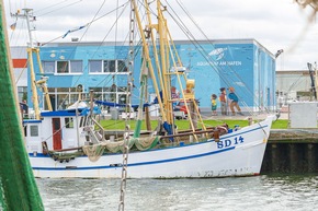 Naturerlebnis Wattenmeer – Büsum zwischen Ebbe und Flut